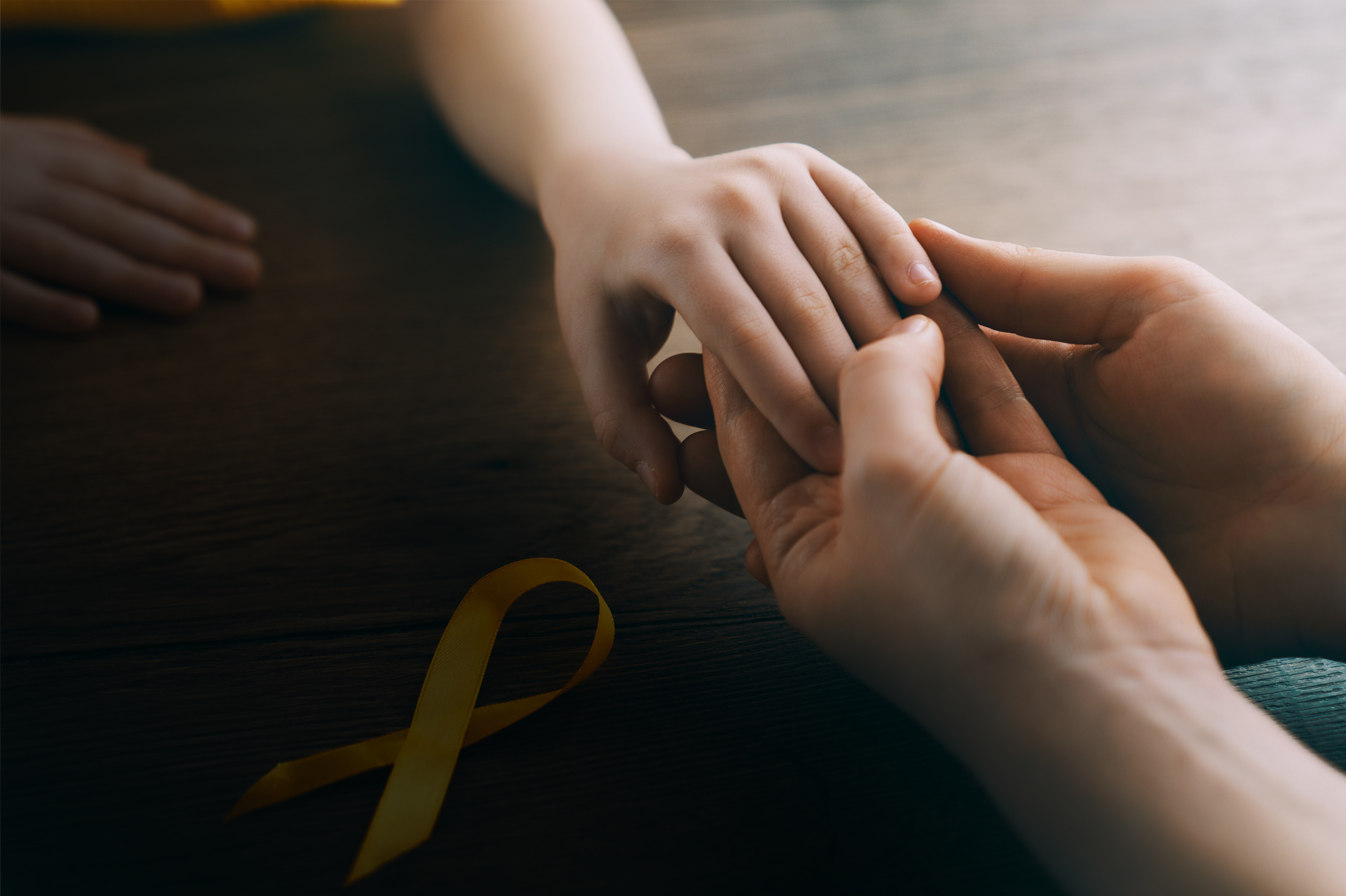 Empowering Nonprofits in Quebec